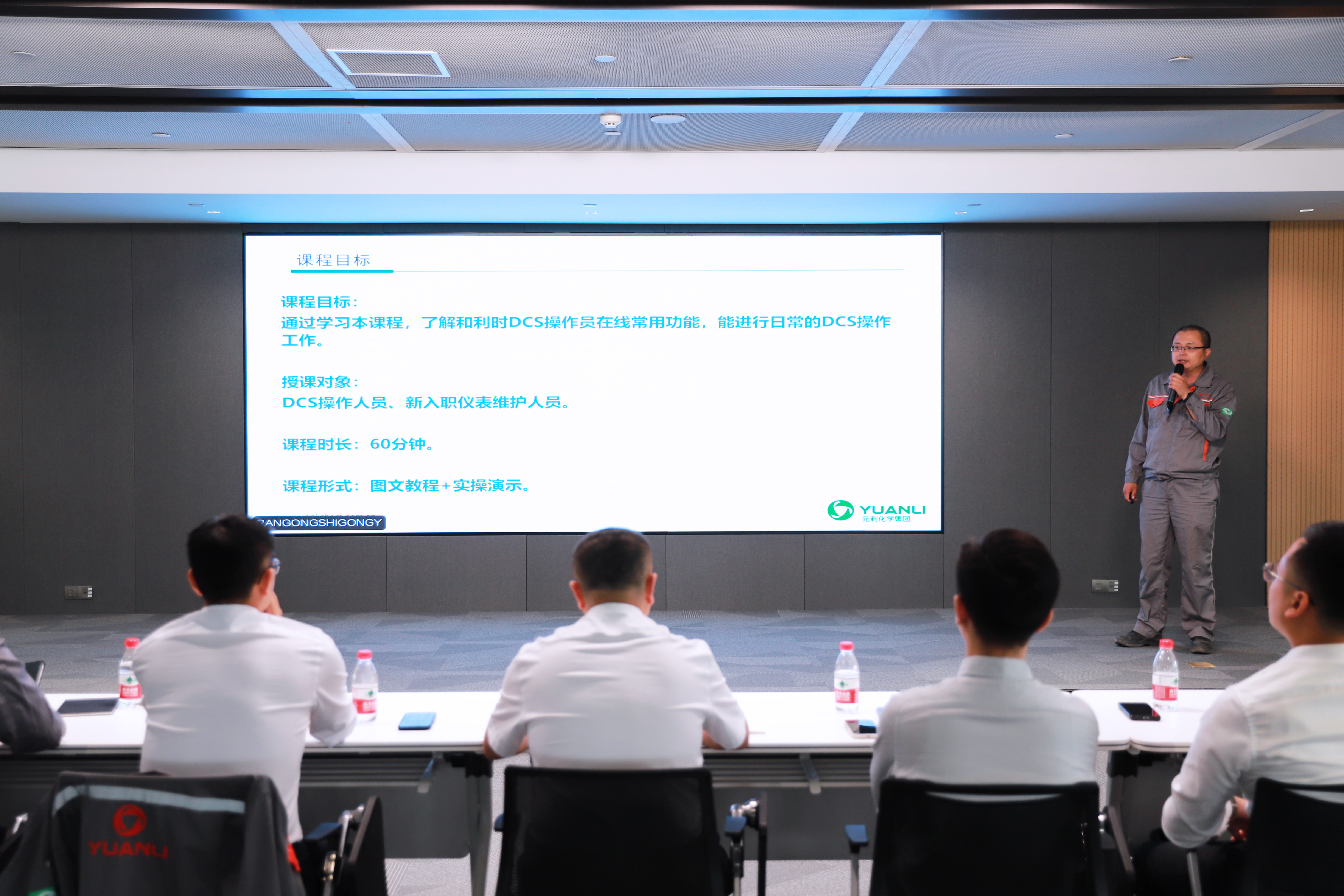 杨树林.jpg